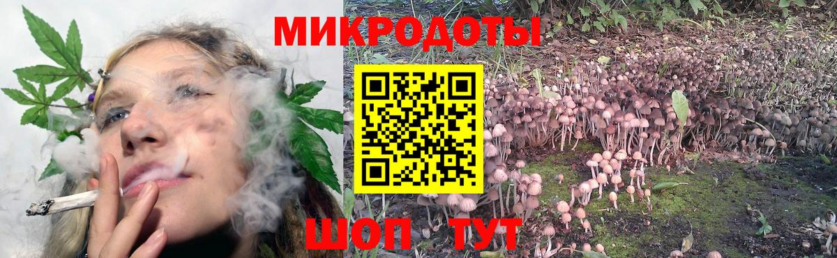 Мелеуз  Псилоцибиновые грибы MAGIC MUSHROOMS  Вход с VPN 
