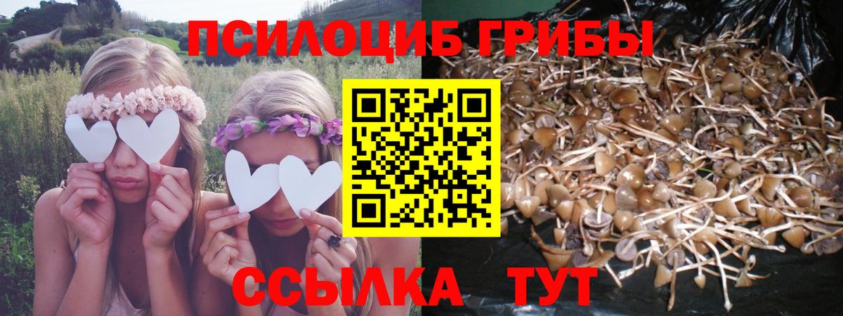 Псилоцибиновые грибы мухоморы Мелеуз